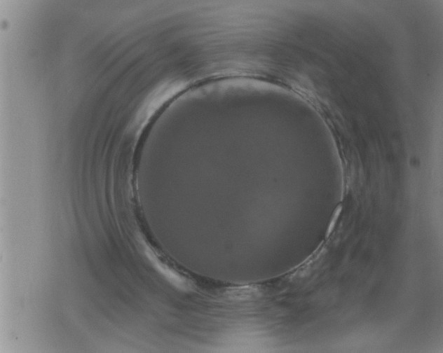 X0000075900050200609221947