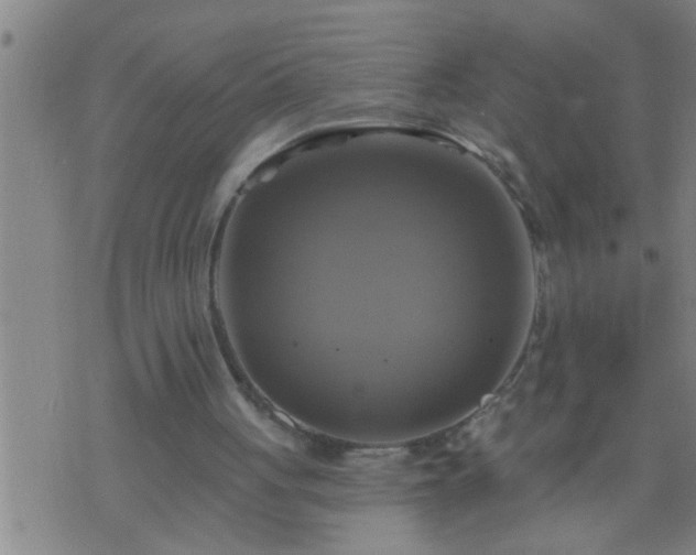 X0000075900051200609221947