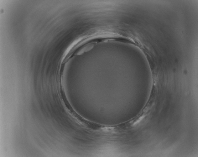 X0000075900052200609221947