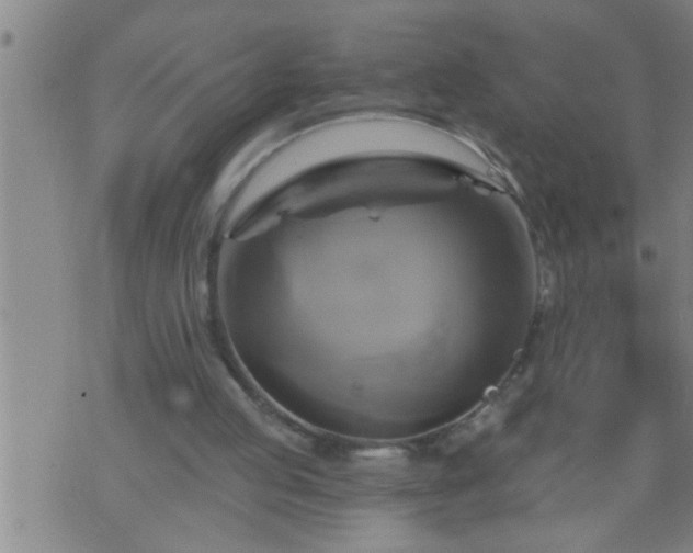 X0000075900053200609221947