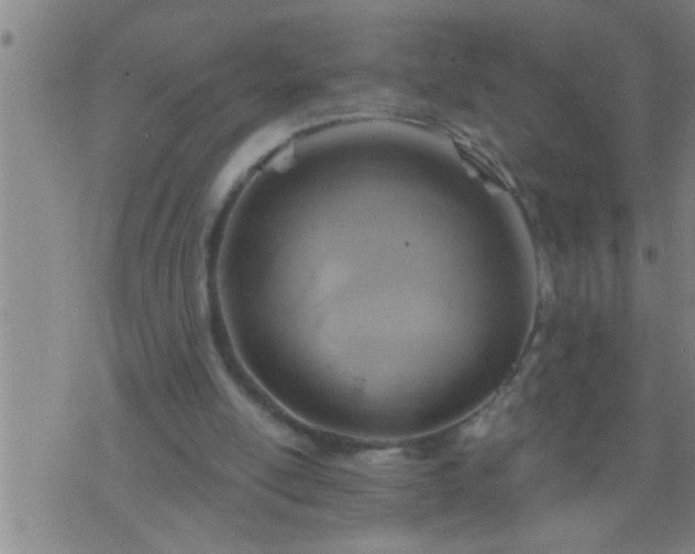 X0000075900054200609221947