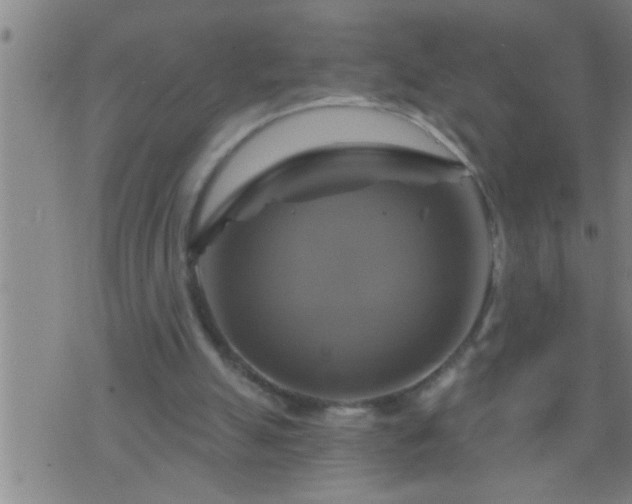 X0000075900055200609221947