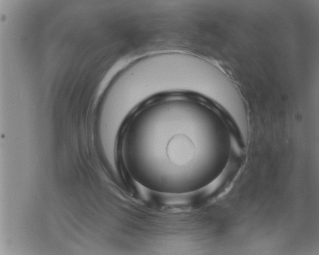 X0000075900056200609221947