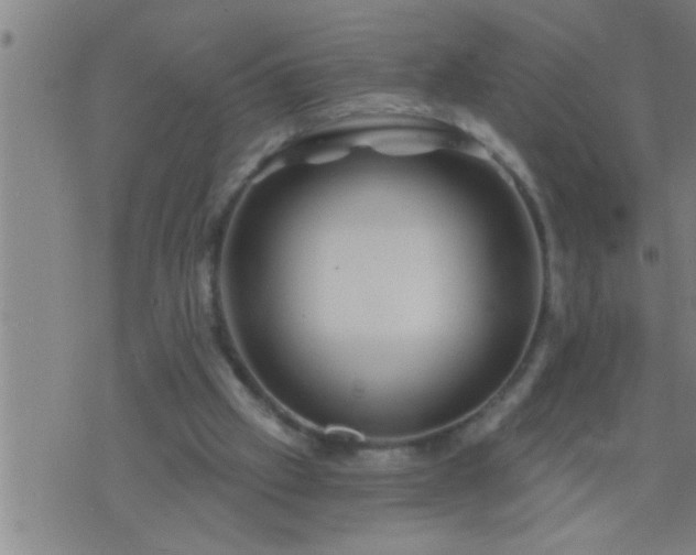 X0000075900057200609221947