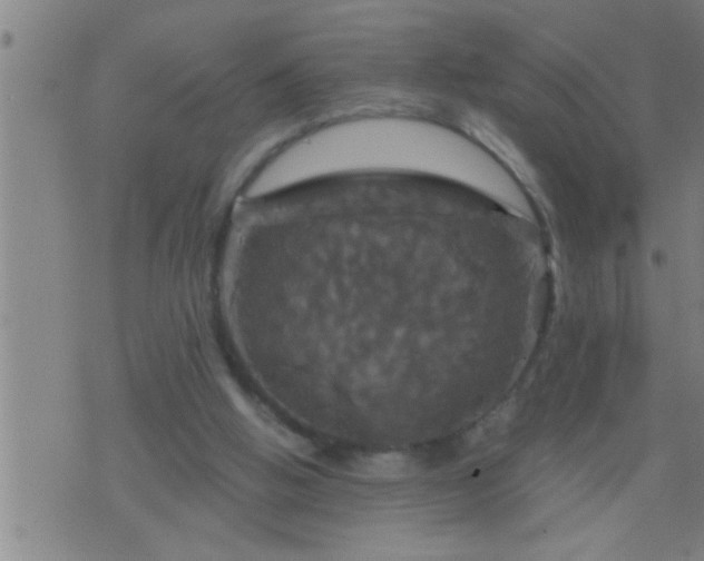 X0000075900058200609221947