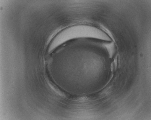 X0000075900059200609221947