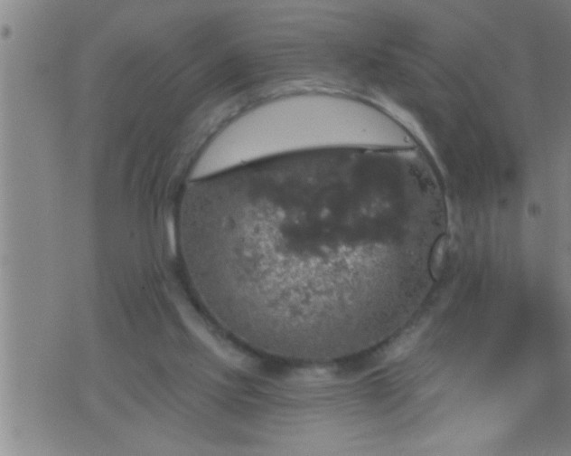 X0000075900061200609221947