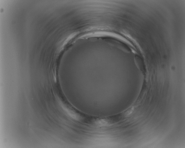 X0000075900062200609221947