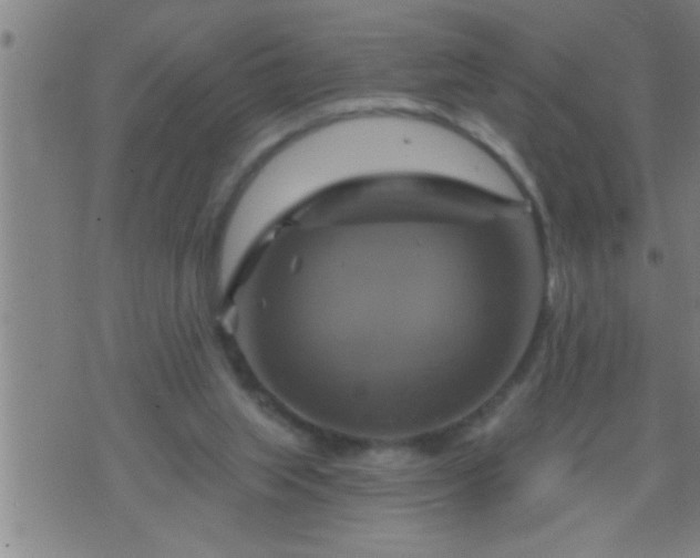 X0000075900063200609221947