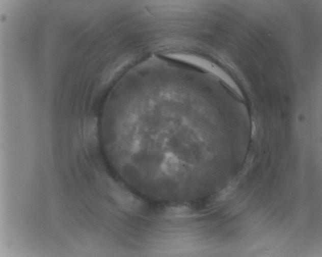 X0000075900066200609221947