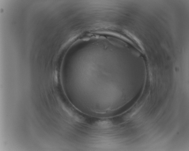 X0000075900067200609221947