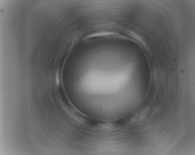 X0000075900069200609221947