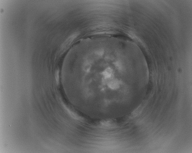 X0000075900070200609221947