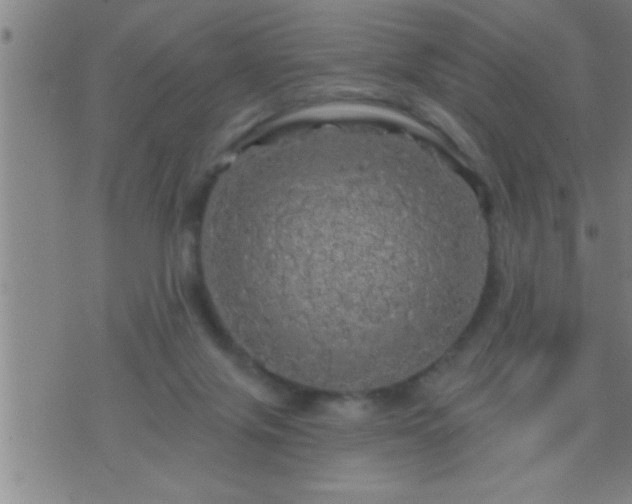 X0000075900071200609221947