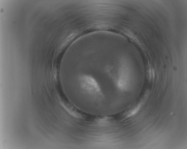 X0000075900072200609221947