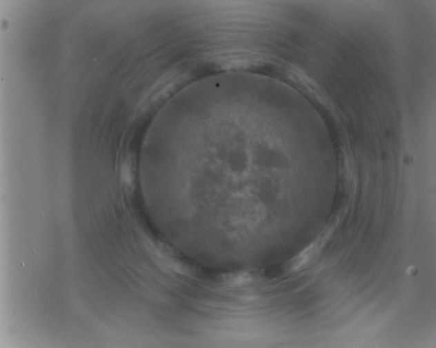 X0000075900074200609221947