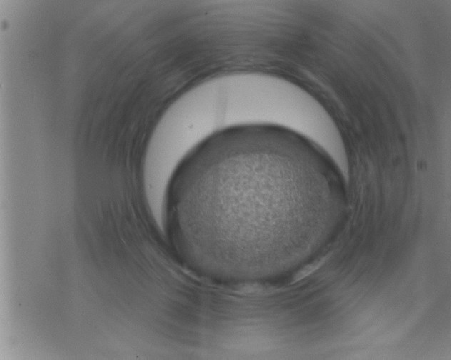 X0000075900075200609221947