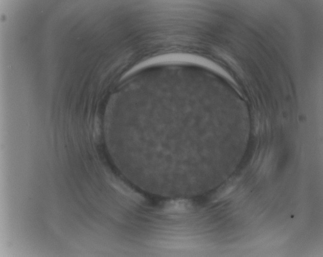 X0000075900077200609221947