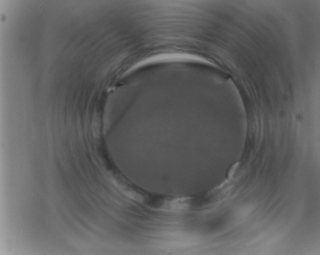 X0000075900078200609221947