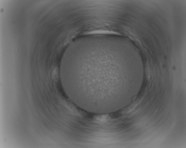 X0000075900079200609221947