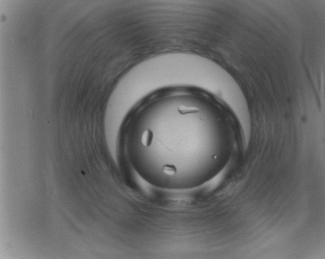 X0000075900080200609221947