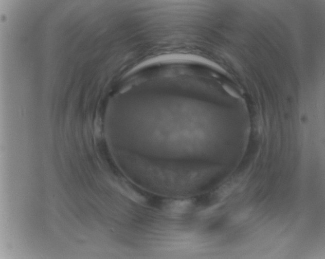 X0000075900081200609221947