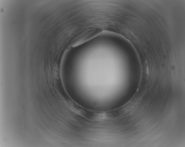 X0000075900083200609221947