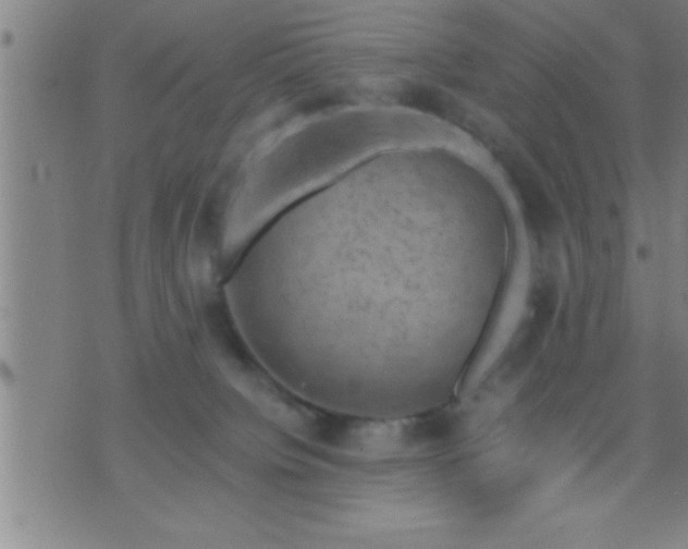 X0000075900084200609221947