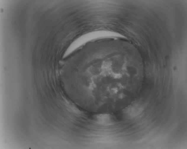 X0000075900085200609221947