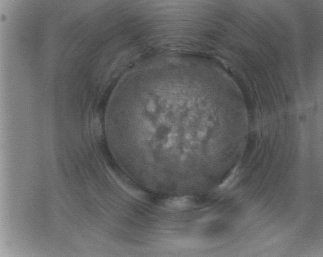 X0000075900086200609221947