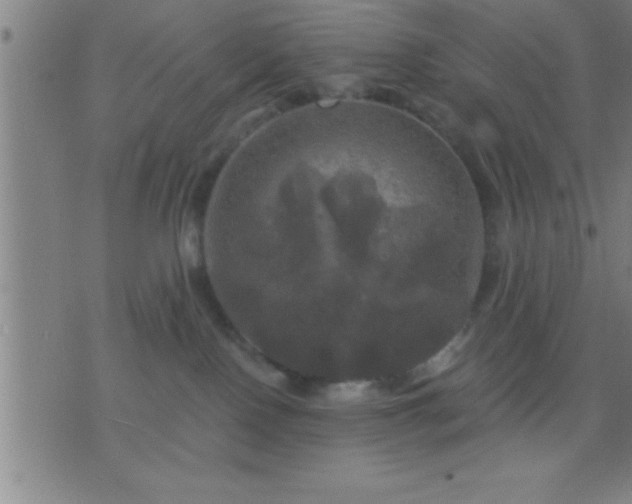 X0000075900090200609221947