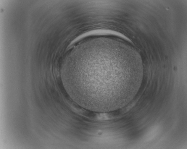 X0000075900091200609221947