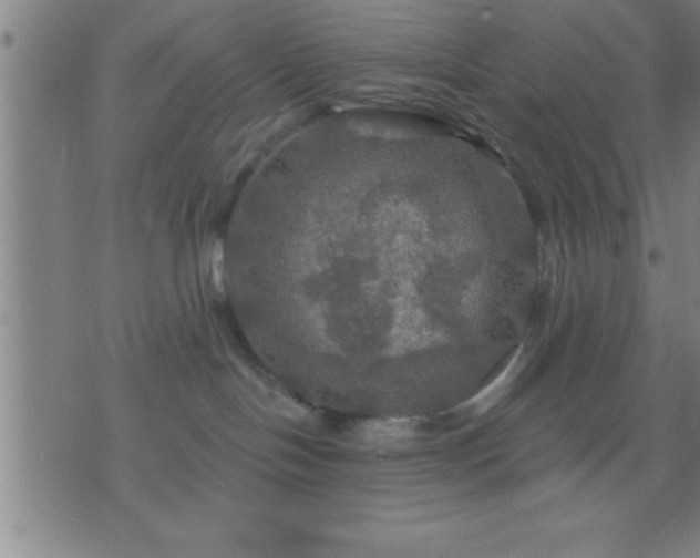 X0000075900094200609221947