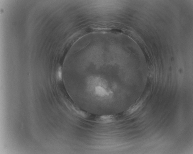 X0000075900095200609221947