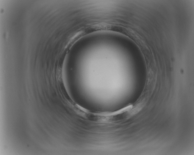 X0000075900096200609221947