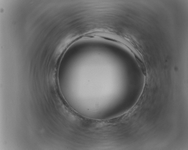 X0000075900098200609221947