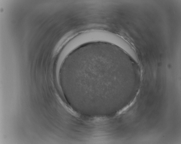 X0000075900101200609221946