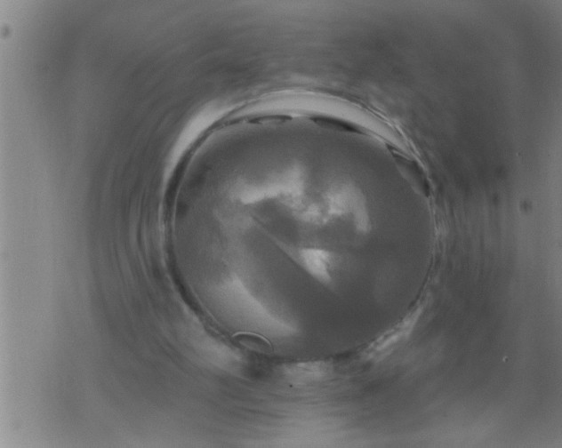 X0000075900102200609221946