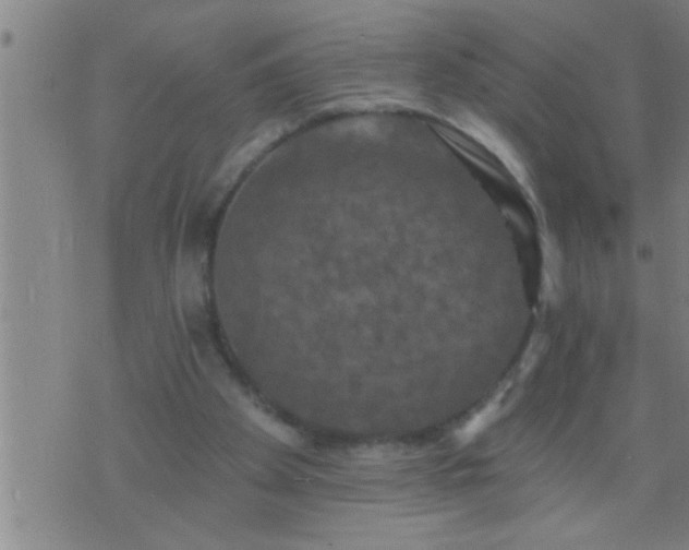 X0000075900105200609221946