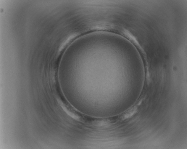 X0000075900106200609221946