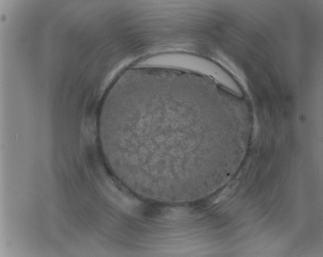 X0000075900107200609221946