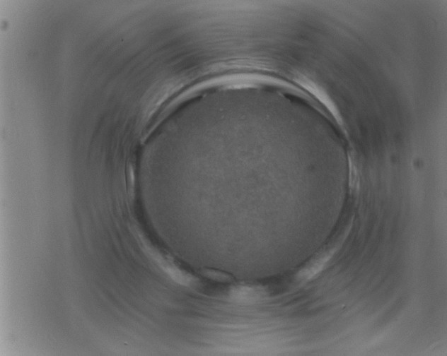 X0000075900109200609221946