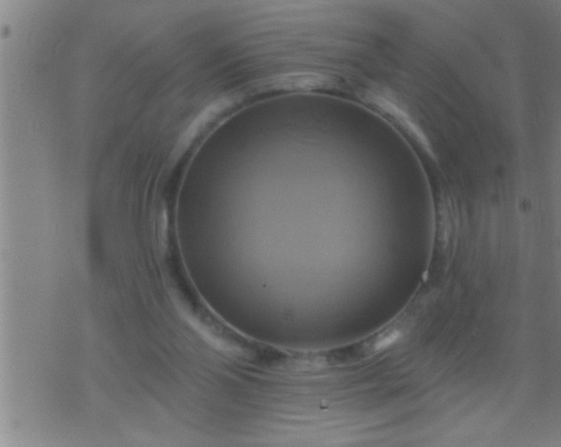 X0000075900110200609221946