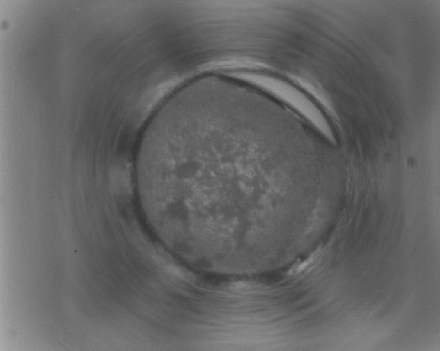 X0000075900111200609221946