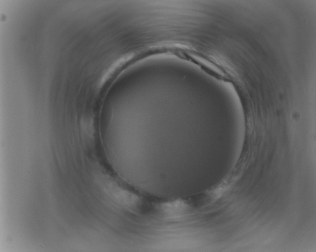 X0000075900112200609221946