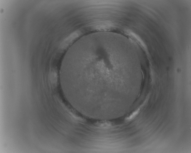 X0000075900113200609221946