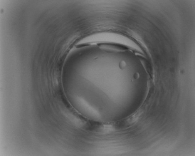 X0000075900114200609221946