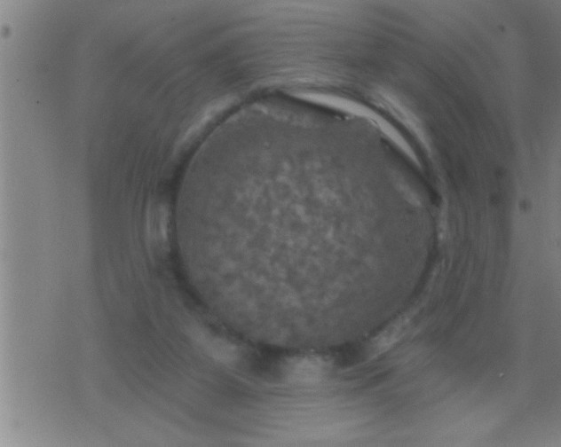 X0000075900115200609221946