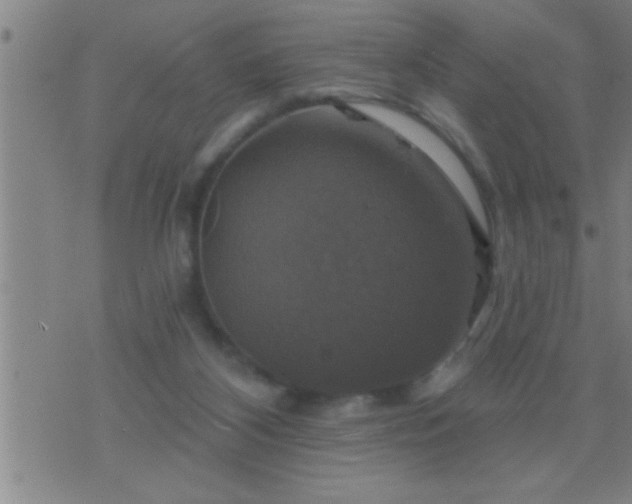 X0000075900116200609221946