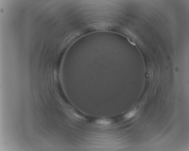 X0000075900117200609221946